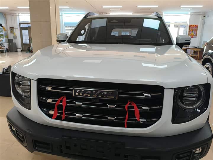 Фото 3 - Haval Dargo