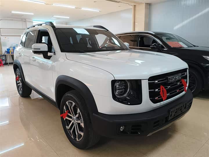 Фото 4 - Haval Dargo