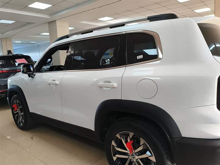 Фото 5 - Haval Dargo