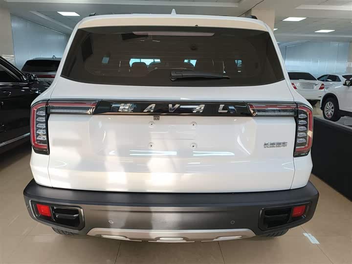 Фото 6 - Haval Dargo