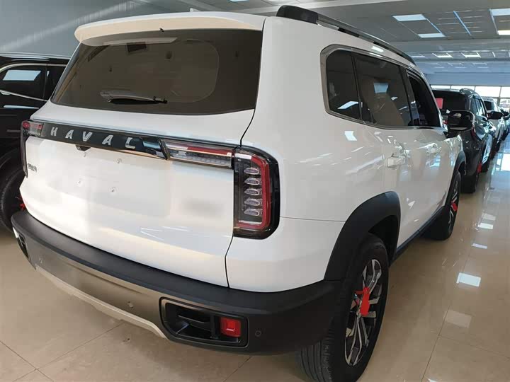 Фото 7 - Haval Dargo