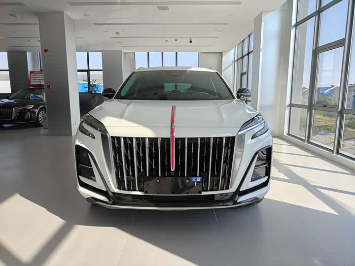 Фото 13 - Hongqi HS3 Hybrid