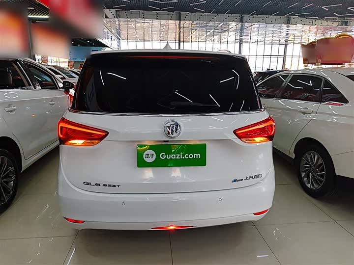 Фото 6 - Buick GL6