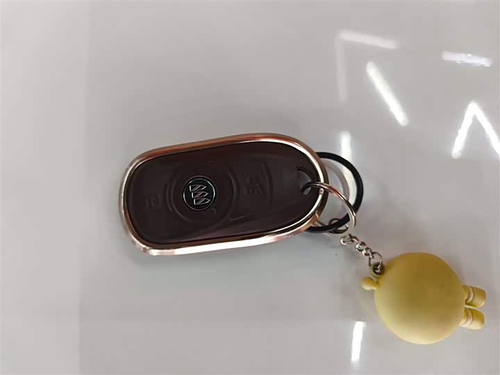 Фото 9 - Buick GL6