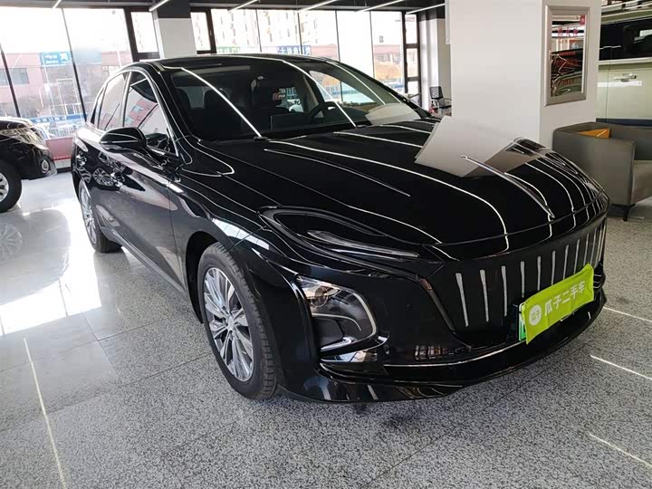 Фото 4 - Hongqi E-QM5