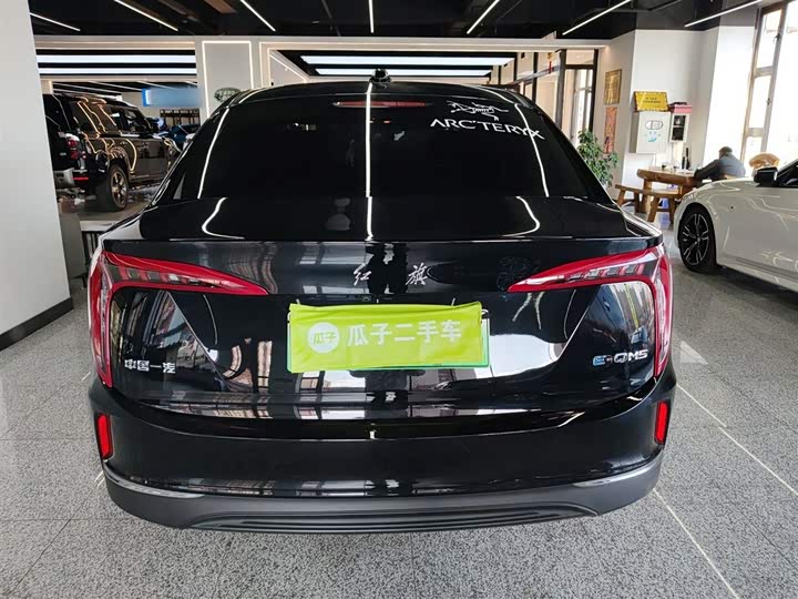 Фото 6 - Hongqi E-QM5