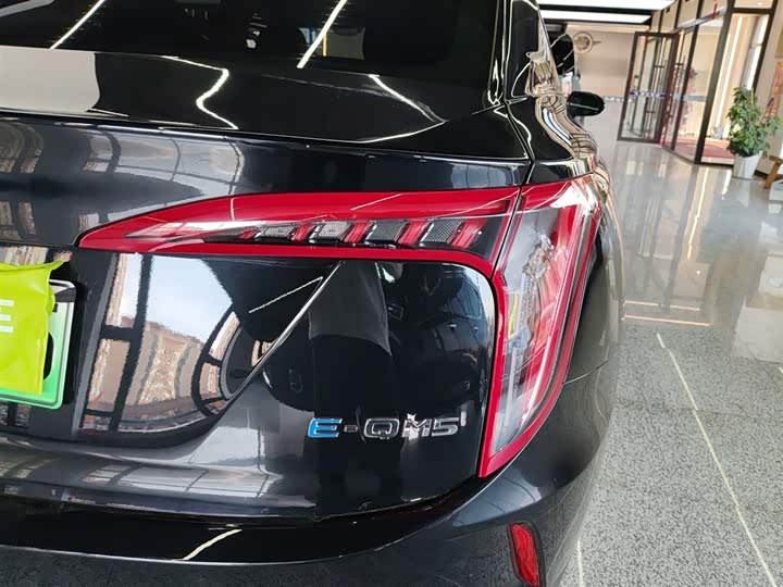 Фото 8 - Hongqi E-QM5
