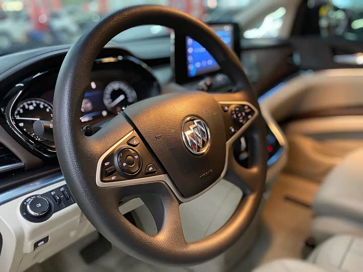 Фото 11 - Buick GL8 ES