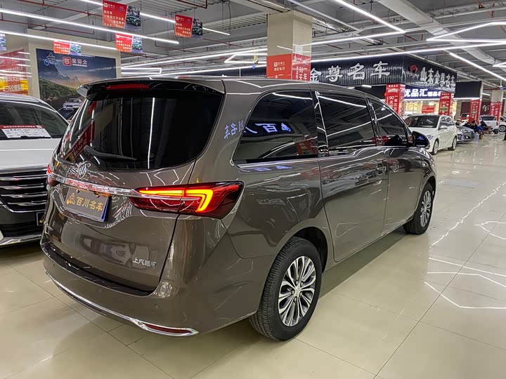 Фото 6 - Buick GL8 ES