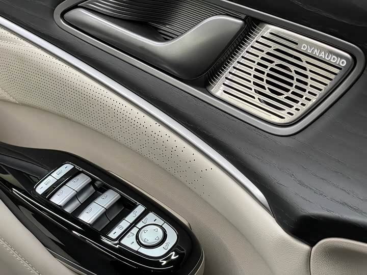 Фото 15 - Denza D9