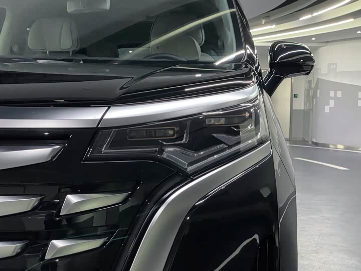 Фото 19 - Denza D9