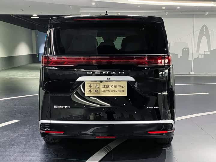 Фото 20 - Denza D9