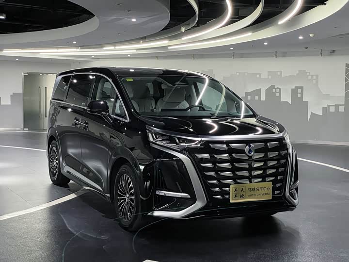 Фото 3 - Denza D9