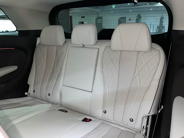 Фото 7 - Denza D9