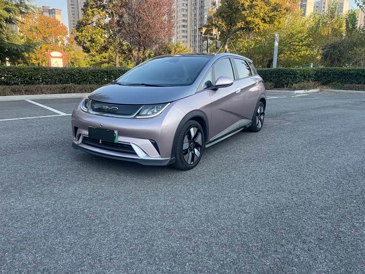 Фото 1 - BYD Dolphin