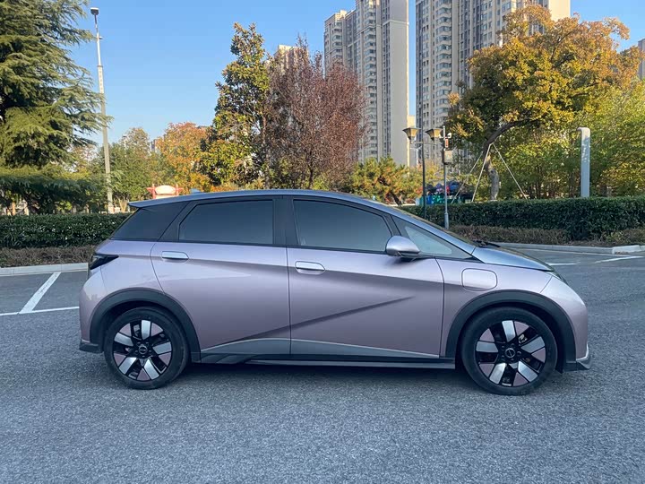 Фото 4 - BYD Dolphin