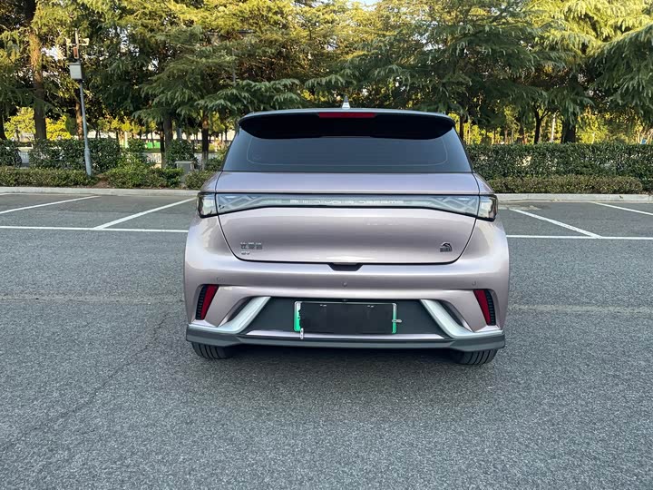 Фото 5 - BYD Dolphin