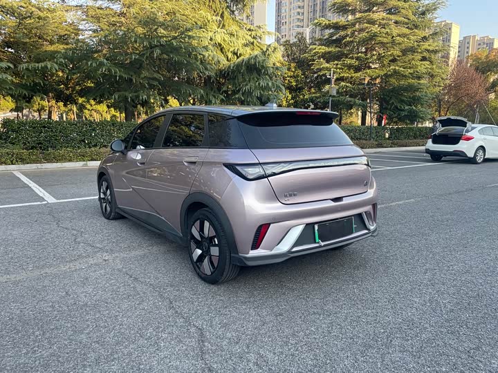 Фото 6 - BYD Dolphin