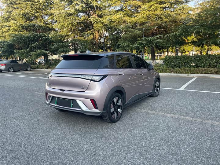 Фото 7 - BYD Dolphin