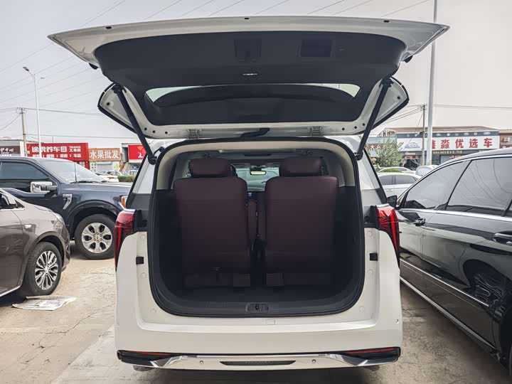 Фото 12 - Buick GL8 Century