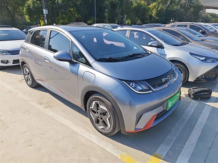 Фото 4 - BYD Dolphin