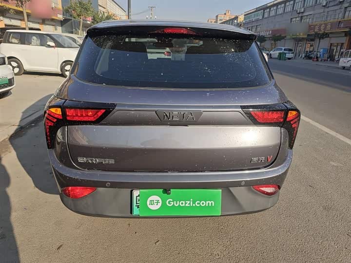 Фото 6 - Hozon V