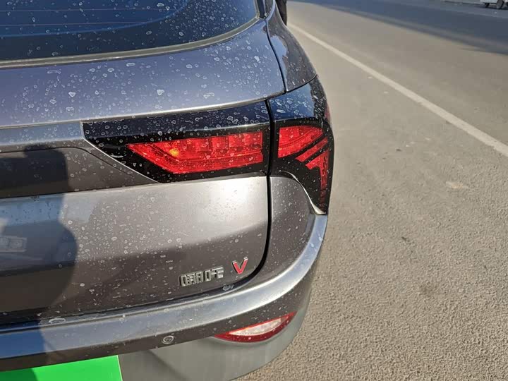 Фото 8 - Hozon V