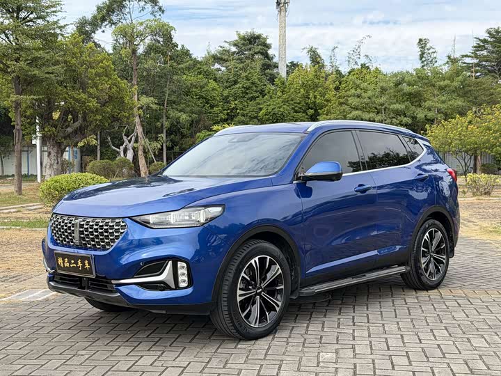 Фото 1 - Wey VV6