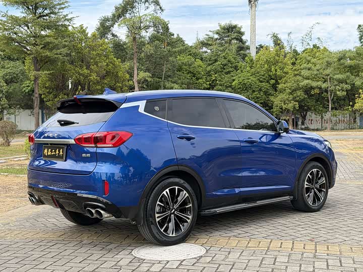 Фото 13 - Wey VV6