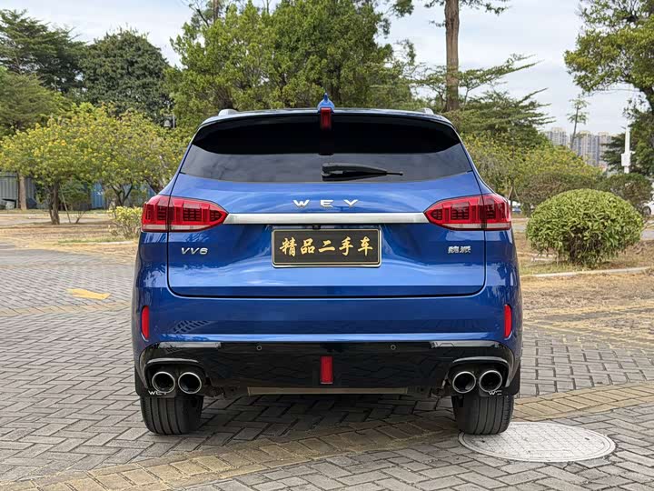 Фото 14 - Wey VV6