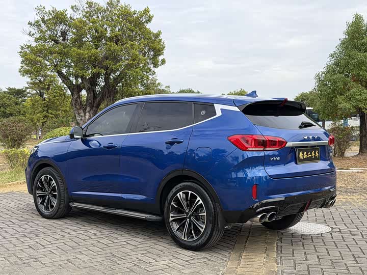 Фото 15 - Wey VV6