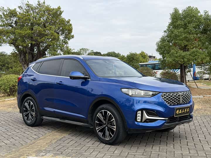 Фото 3 - Wey VV6