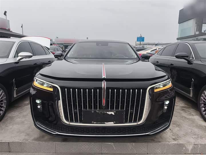 Фото 3 - Hongqi H9