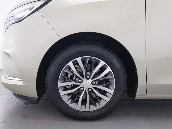 Фото 17 - Buick GL8 ES