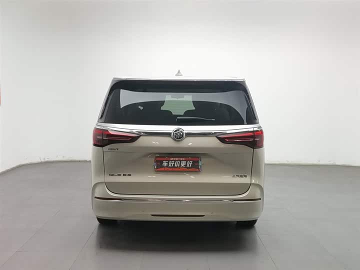 Фото 4 - Buick GL8 ES