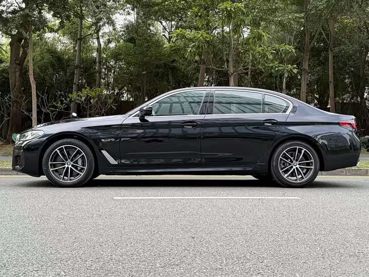 Фото 4 - BMW 5 Series Hybrid