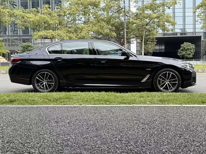 Фото 5 - BMW 5 Series Hybrid