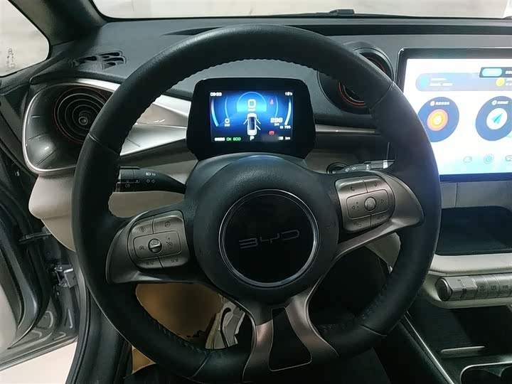 Фото 11 - BYD Dolphin