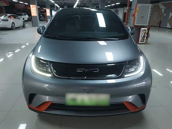 Фото 3 - BYD Dolphin