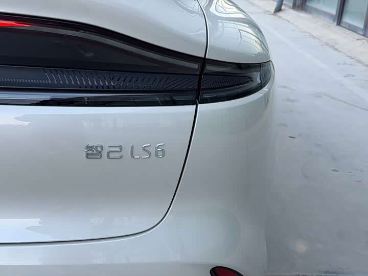 Фото 17 - IM motors LS6