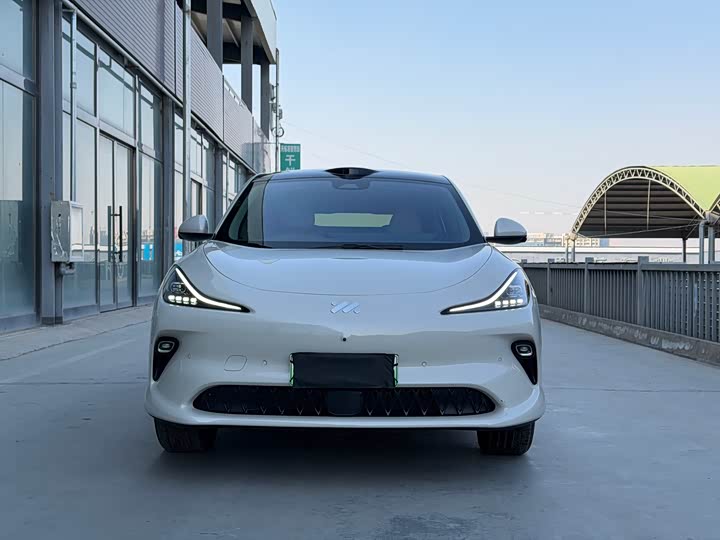 Фото 2 - IM motors LS6