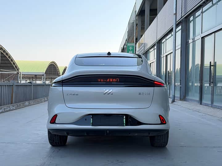 Фото 5 - IM motors LS6