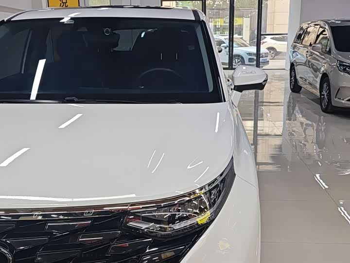 Фото 5 - Hyundai Custo