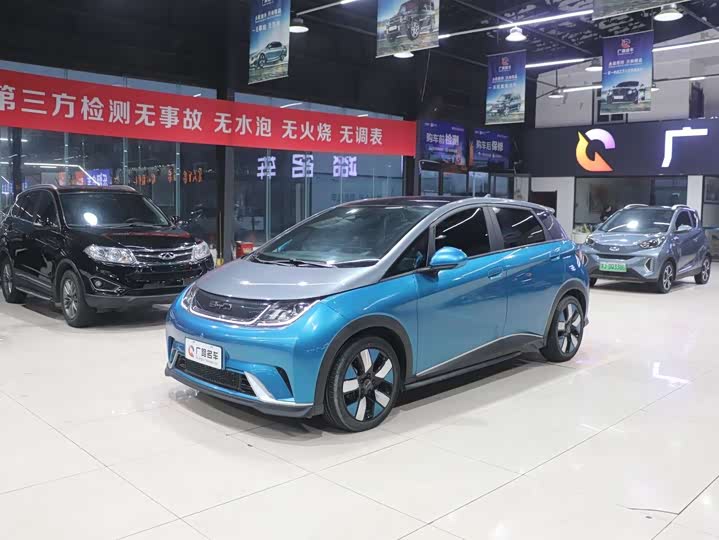 Фото 4 - BYD Dolphin