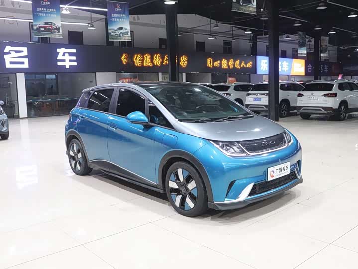 Фото 5 - BYD Dolphin