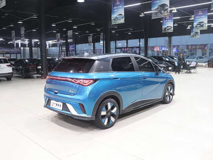 Фото 6 - BYD Dolphin