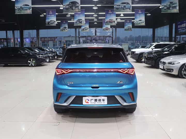 Фото 7 - BYD Dolphin