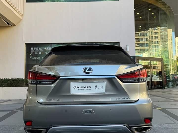 Фото 4 - Lexus RX