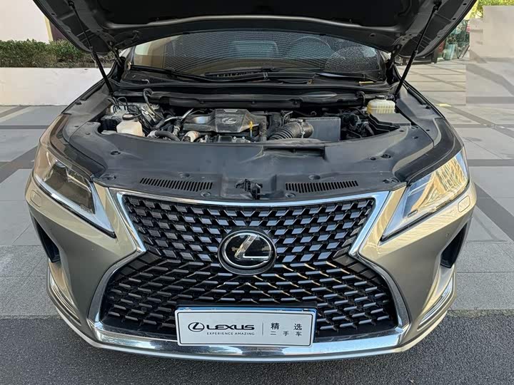 Фото 6 - Lexus RX