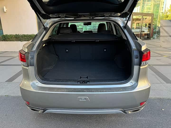 Фото 8 - Lexus RX